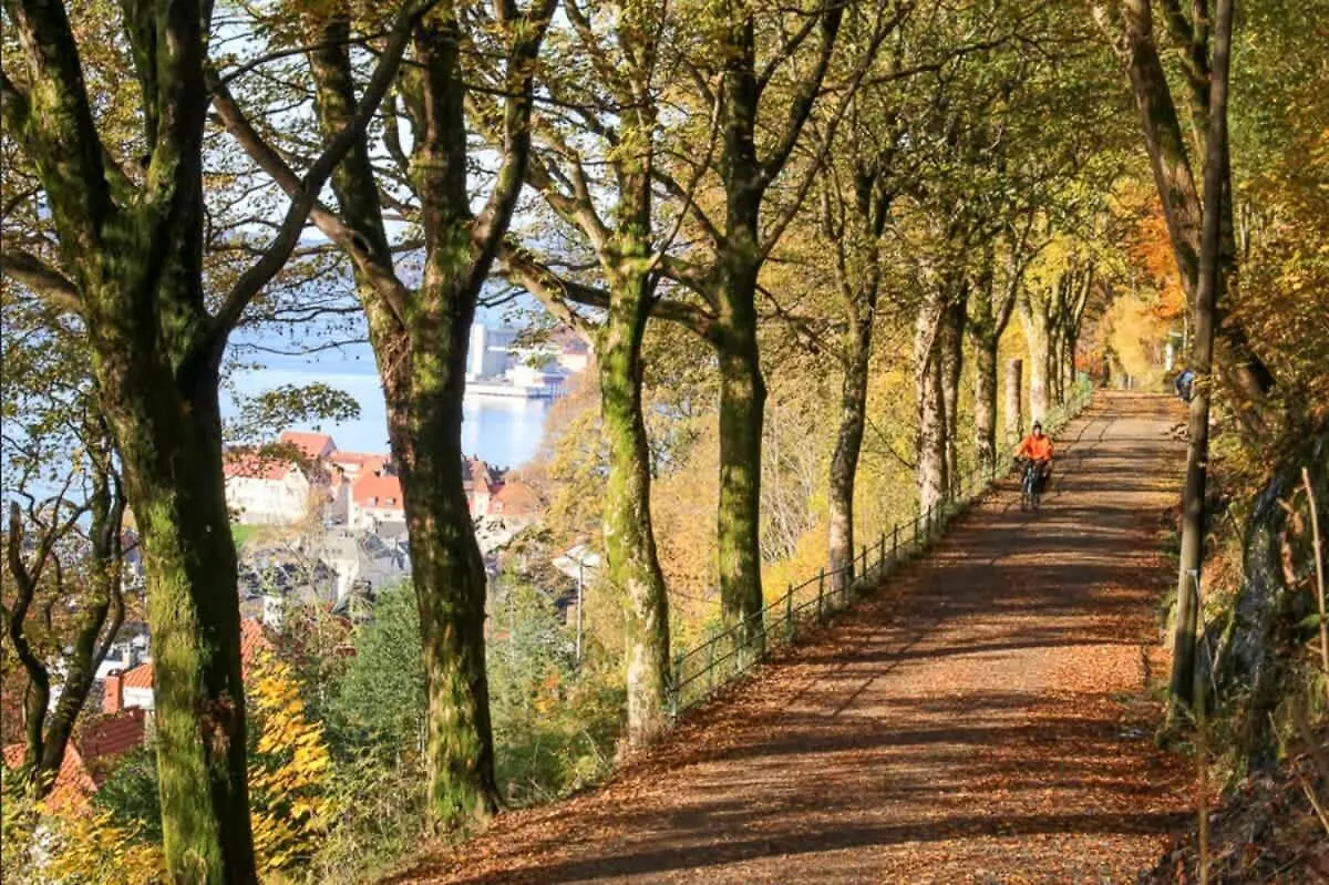 Dinbnb Apartments I 300M To Bryggen & Floien I Renovated 2023 Bergen
